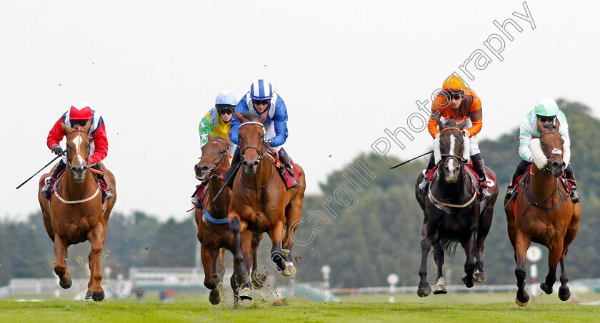 Khanjar-0005 
 KHANJAR (centre, Jim Crowley) beats ABOLISH (right) GHATHANFAR (2nd right) and VENTURA EXPRESS (left) in The The Tin Man Handicap
Haydock 2 Sep 2022 - Pic Steven Cargill / Racingfotos.com