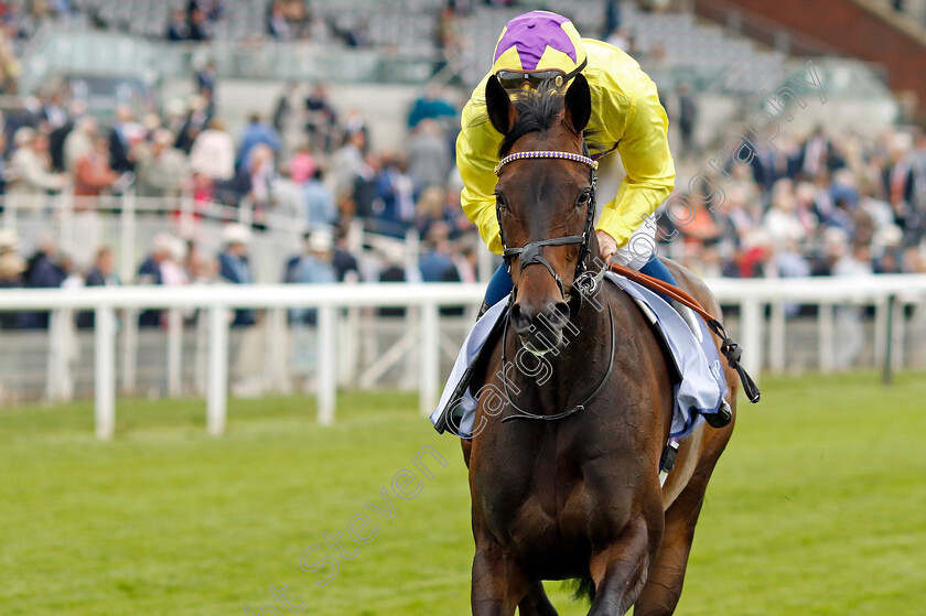 Sea-Silk-Road-0002 
 SEA SILK ROAD (William Buick) 
York 18 May 2023 - Pic Steven Cargill / Racingfotos.com