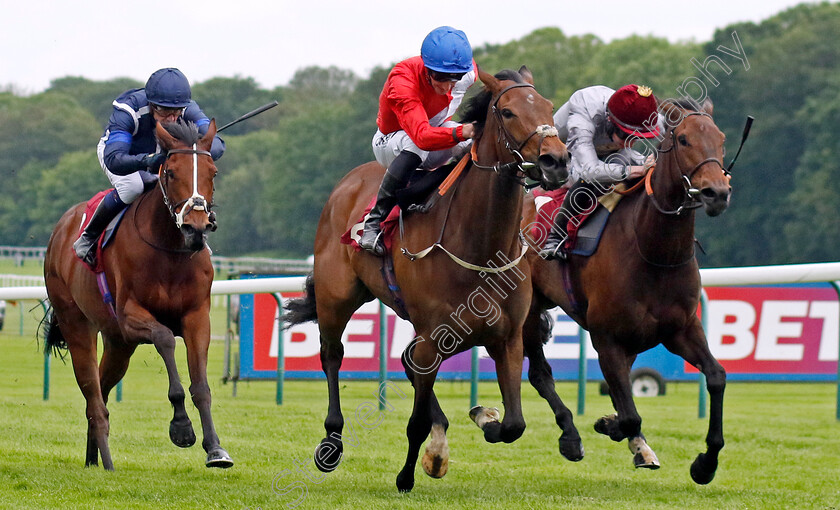 Never-Ending-0003 
 NEVER ENDING (Daniel Tudhope) beats DOHA (right) in The Betfred Macmillan Race Day Handicap
Haydock 24 May 2024 - Pic Steven Cargill / Racingfotos.com