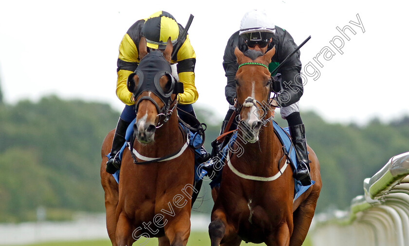 Haliphon-0007 
 HALIPHON (right, Royston Ffrench) beats MONSIEUR LAMBRAYS (left, Oisin Orr) in The Andy Thornton Hospitality Furniture Handicap
York 10 Jun 2022 - Pic Steven Cargill / Racingfotos.com