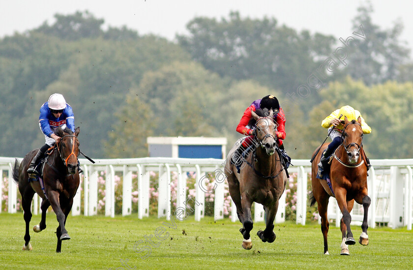 Saga-0002 
 SAGA (centre, Frankie Dettori) beats KOY KOY (right) in The Charbonnel Et Walker British EBF Maiden Stakes
Ascot 3 Sep 2021 - Pic Steven Cargill / Racingfotos.com