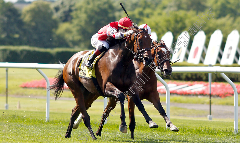 Cambier-Parc-0003 
 CAMBIER PARC (left, Jose Ortiz) beats NEWSPAPEROFRECORD (right) in The Wonder Again Stakes
Belmont Park USA, 6 Jun 2019 - Pic Steven Cargill / Racingfotos.com