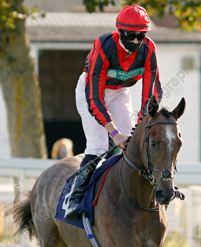 Graystone-0002 
 GRAYSTONE (Eoin Walsh)
Yarmouth 17 Sep 2020 - Pic Stevn Cargill / Racingfotos.com