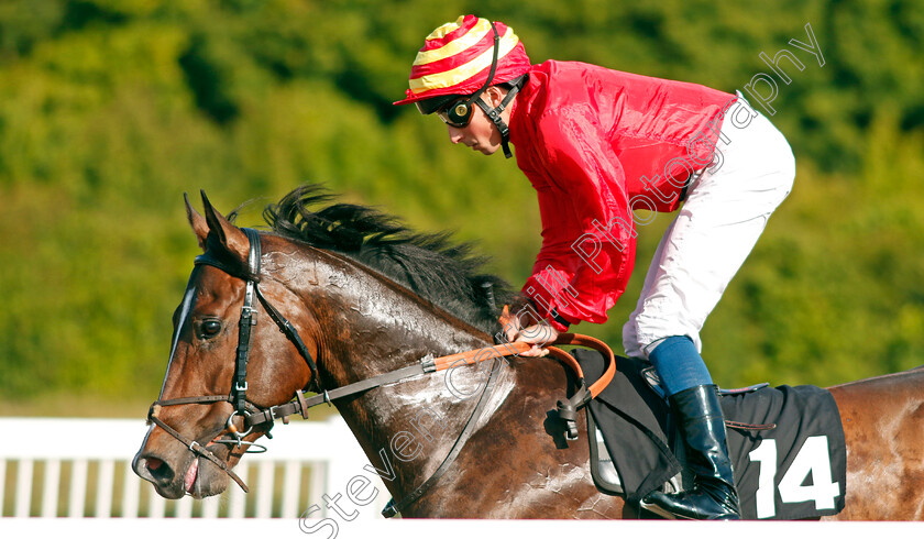 Villalobos 
 VILLALOBOS (William Buick)
Chelmsford 7 Jun 2022 - Pic Steven Cargill / Racingfotos.com