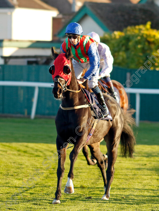 Brazen-Arrow-0001 
 BRAZEN ARROW (Joey Haynes)
Yarmouth 18 Oct 2022 - Pic Steven Cargill / Racingfotos.com