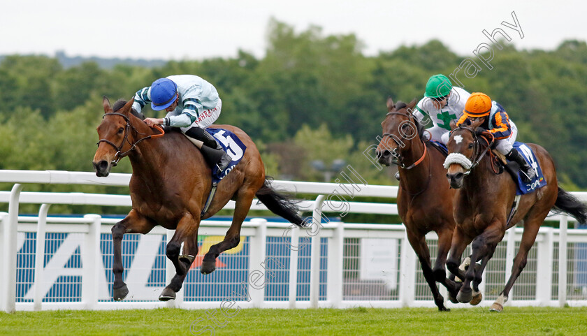 Quickthorn-0009 
 QUICKTHORN (Tom Marquand) wins The Coral Henry II Stakes
Sandown 26 May 2022 - Pic Steven Cargill / Racingfotos.com