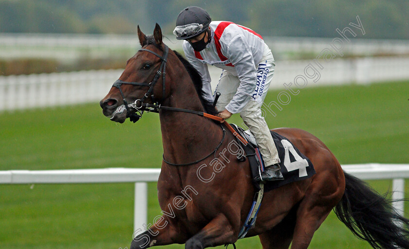 Duck-And-Vanish-0002 
 DUCK AND VANISH (Tom Marquand)
Ascot 2 Oct 2020 - Pic Steven Cargill / Racingfotos.com