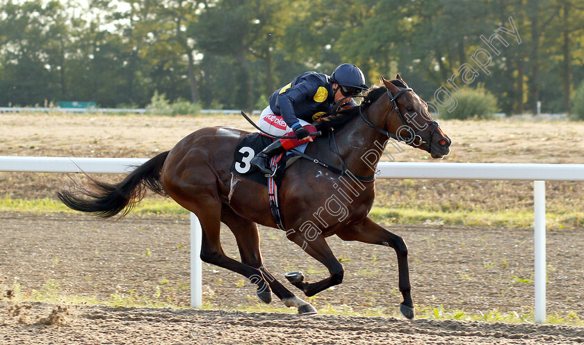 Lady-Lawyer-0004 
 LADY LAWYER (Frankie Dettori) wins The Budweiser Brewing Group Novice Stakes Div1
Chelmsford 23 Jul 2019 - Pic Steven Cargill / Racingfotos.com