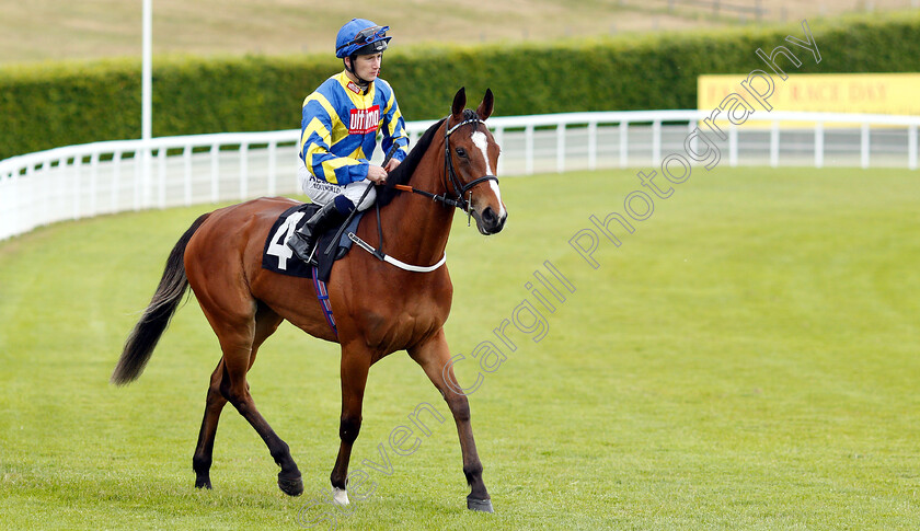 Tronada-0001 
 TRONADA (Oisin Murphy)
Goodwood 24 May 2019 - Pic Steven Cargill / Racingfotos.com