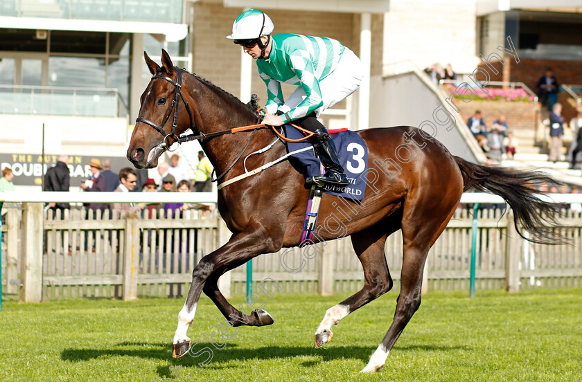 Carolina-Reaper-0001 
 CAROLINA REAPER (Jack Mitchell)
Newmarket 29 Sep 2023 - Pic Steven Cargill / Racingfotos.com