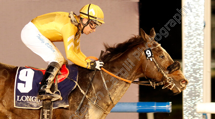 Western-Synphony-0001 
 WESTERN SYMPHONY (Tadhg O'Shea) wins The Longines Record Collection Handicap
Meydan 27 Jan 2023 - Pic Steven Cargill / Racingfotos.com