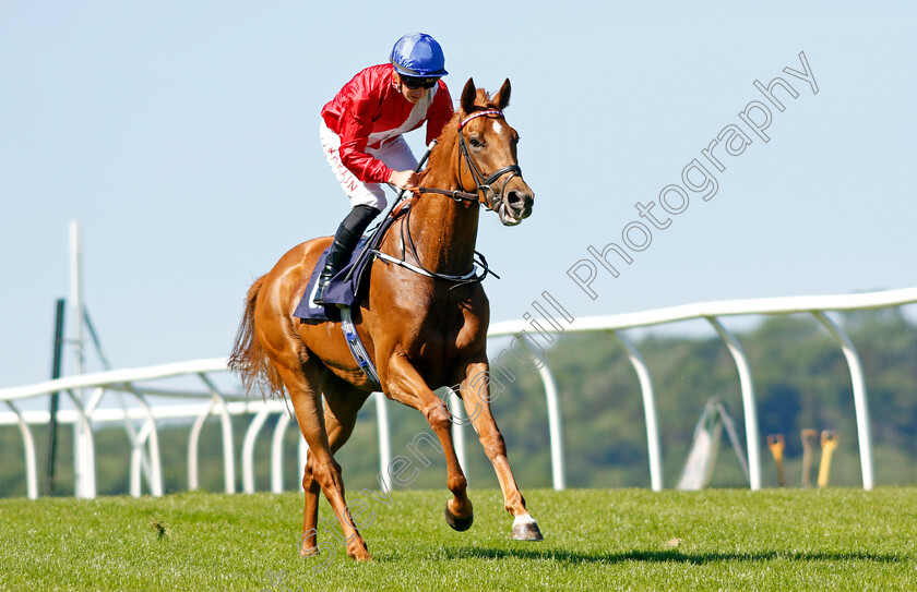 King-Of-Ice-0002 
 KING OF ICE (Tom Marquand)
Chepstow 27 May 2022 - Pic Steven Cargill / Racingfotos.com