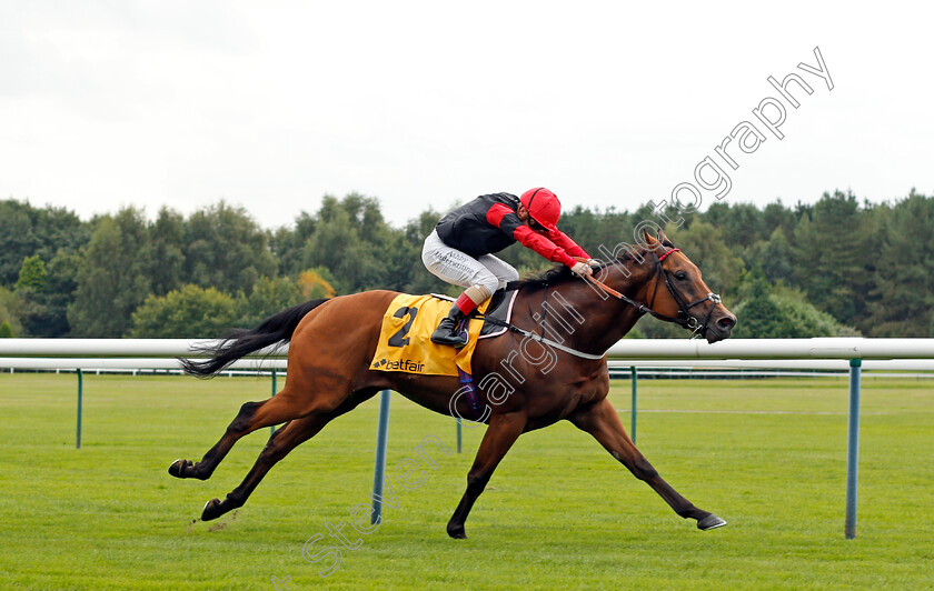 Artistic-Rifles-0004 
 ARTISTIC RIFLES (Andrea Atzeni) wins The Betfair Double Daily Rewards Superior Mile 
Haydock 4 Sep 2021 - Pic Steven Cargill / Racingfotos.com