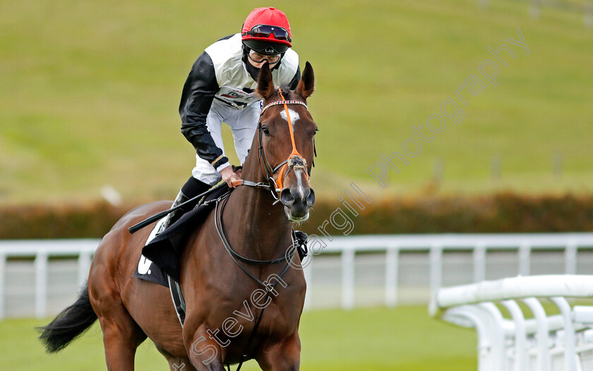 Pleasure-Garden-0001 
 PLEASURE GARDEN (Luke Morris)
Goodwood 11 Oct 2020 - Pic Steven Cargill / Racingfotos.com