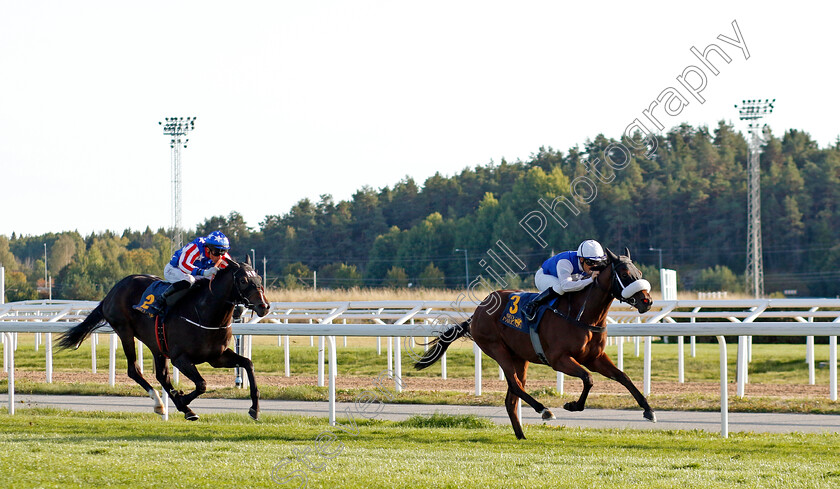 Crystal-Love-0004 
 CRYSTAL LOVE (Sandro De Paiva) wins The Appel Au Maitre Svealandlopning
Bro Park, Sweden , 15 Sep 2024 - Pic Steven Cargill / Racingfotos.com