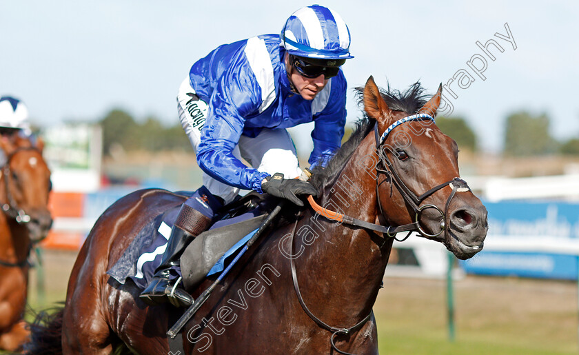 Maqtal-0011 
 MAQTAL (Jim Crowley) wins The British Stallion Studs EBF Maiden Stakes
Yarmouth 18 Sep 2019 - Pic Steven Cargill / Racingfotos.com