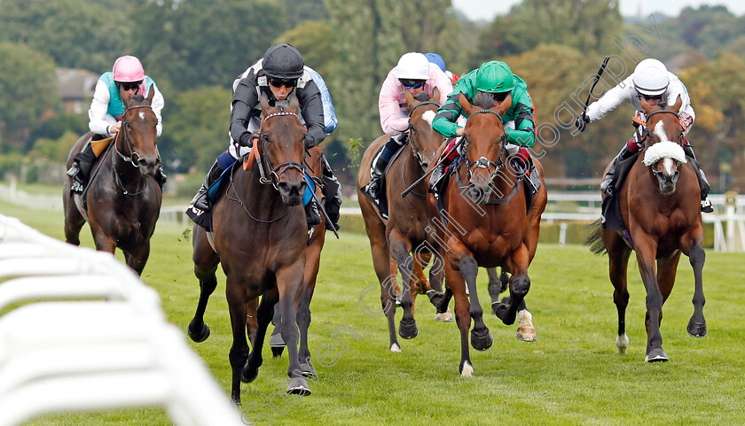 Lavender s-Blue-0002 
 LAVENDER'S BLUE (left, Jim Crowley) beats DUNEFLOWER (centre) and LOOK AROUND (right) in The Betway Atalanta Stakes
Sandown 31 Aug 2019 - Pic Steven Cargill / Racingfotos.com