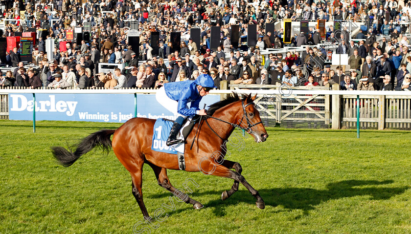 Arabian-Crown-0004 
 ARABIAN CROWN (William Buick) wins The Zetland Stakes
Newmarket 14 Oct 2023 - Pic Steven Cargill / Racingfotos.com