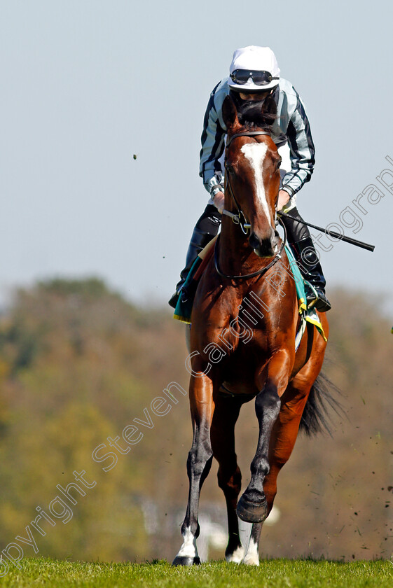 Highest-Ground-0001 
 HIGHEST GROUND (Ryan Moore)
Sandown 23 Apr 2021 - Pic Steven Cargill / Racingfotos.com