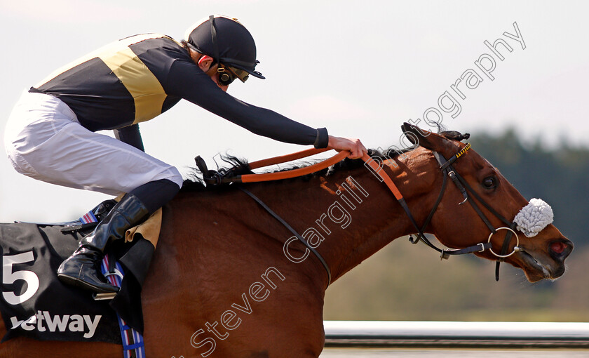 Ranch-Hand-0004 
 RANCH HAND (James Doyle) wins The Betway All-weather Marathon Championships Conditions Stakes
Lingfield 2 Apr 2021 - Pic Steven Cargill / Racingfotos.com