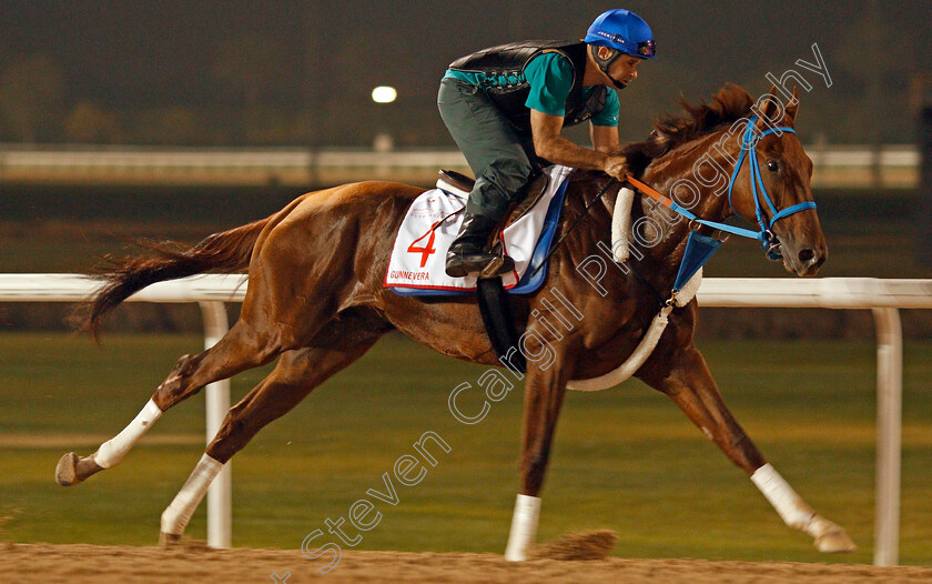 Gunnevera-0002 
 GUNNEVERA exercising in preparation for The Dubai World Cup Meydan 28 Mar 2018 - Pic Steven Cargill / Racingfotos.com