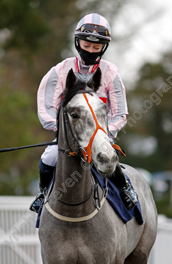 Blue-Galaxy-0001 
 BLUE GALAXY (Isobel Francis)
Lingfield 19 Dec 2020 - Pic Steven Cargill / Racingfotos.com