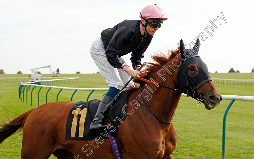 Aiming-High-0001 
 AIMING HIGH (Callum Shepherd)
Newmarket 7 Oct 2023 - Pic Steven Cargill / Racingfotos.com