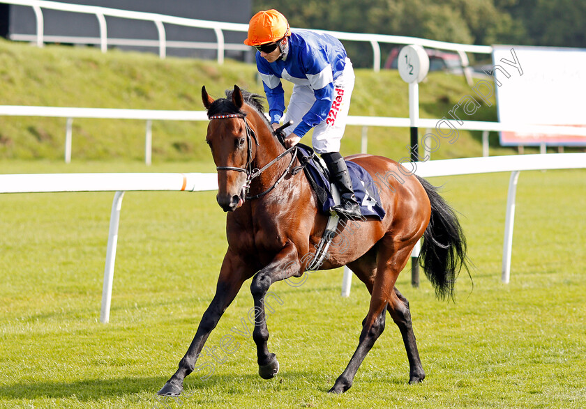 Rigoletto-0001 
 RIGOLETTO (Jamie Spencer) winner of The Reecer Portable Buildings Handicap Chepstow 6 Sep 2017 - Pic Steven Cargill / Racingfotos.com