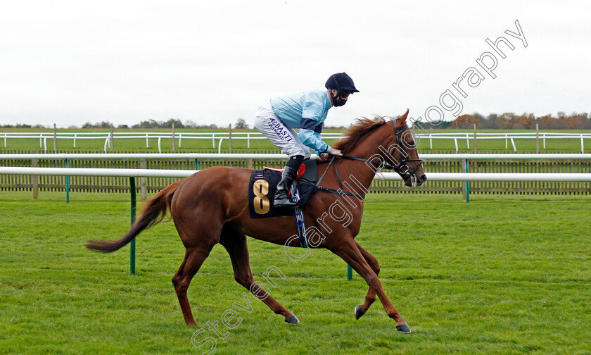 Operatic-0001 
 OPERATIC (Jack Mitchell)
Newmarket 30 Oct 2020 - Pic Steven Cargill / Racingfotos.com