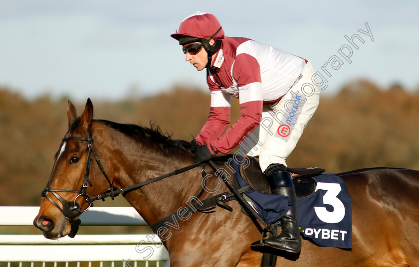 Riskintheground-0001 
 RISKINTHEGROUND (Harry Skelton)
Ascot 22 Nov 2024 - Pic Steven Cargill / Racingfotos.com