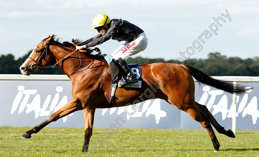 Akbar-Shah-0004 
 AKBAR SHAH (Jamie Spencer) wins The Sodexo Handicap
Ascot 7 Sep 2018 - Pic Steven Cargill / Racingfotos.com