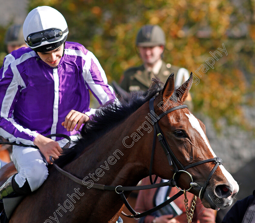 Happily-0009 
 HAPPILY (Donnacha O'Brien) after The Moyglare Stud Stakes Curragh 10 Sep 2017 - Pic Steven Cargill / Racingfotos.com