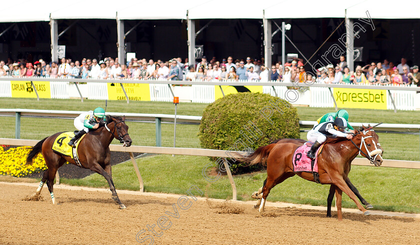 Point-Of-Honor-0003 
 POINT OF HONOR (Javier Castellano) wins The Black-Eyed Susan Stakes
Pimlico, Baltimore USA, 17 May 2019 - Pic Steven Cargill / Racingfotos.com