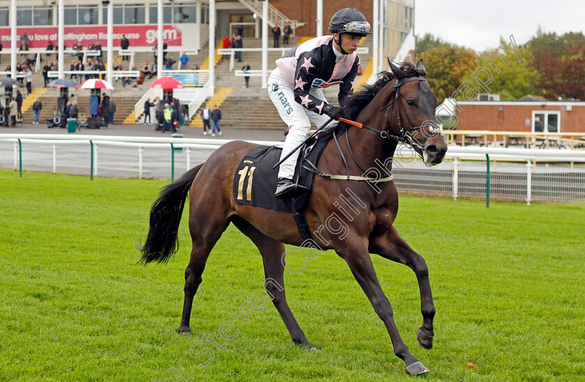 Subaltern-0001 
 SUBALTERN (Ryan Kavanagh)
Nottingham 11 Oct 2023 - Pic Steven Cargill / Racingfotos.com