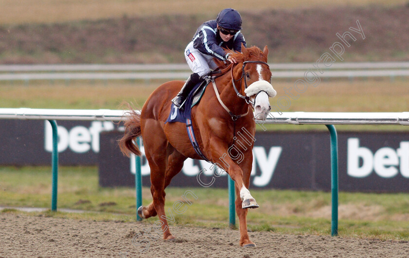 Harvey-Dent-0006 
 HARVEY DENT (Hollie Doyle) wins The Ladbrokes Home Of The Odds Boost Novice Median Auction Stakes
Lingfield 25 Jan 2019 - Pic Steven Cargill / Racingfotos.com