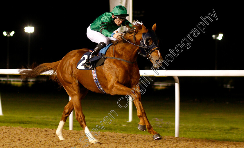 Petit-Palais-0003 
 PETIT PALAIS (Robert Havlin) wins The Hellermanntyton Cable Installation Median Auction Maiden Stakes
Wolverhampton 5 Sep 2018 - Pic Steven Cargill / Racingfotos.com