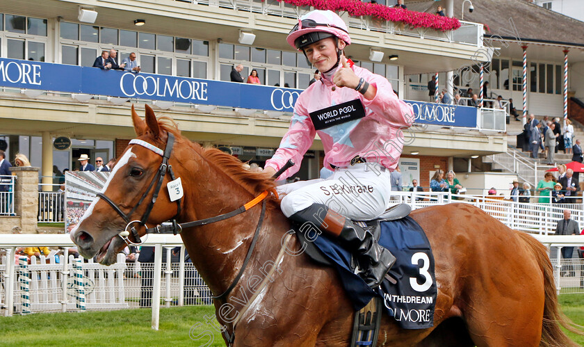 Live-In-The-Dream-0008 
 LIVE IN THE DREAM (Sean Kirrane) winner of The Coolmore Nunthorpe Stakes
York 25 Aug 2023 - Pic Steven Cargill / Racingfotos.com