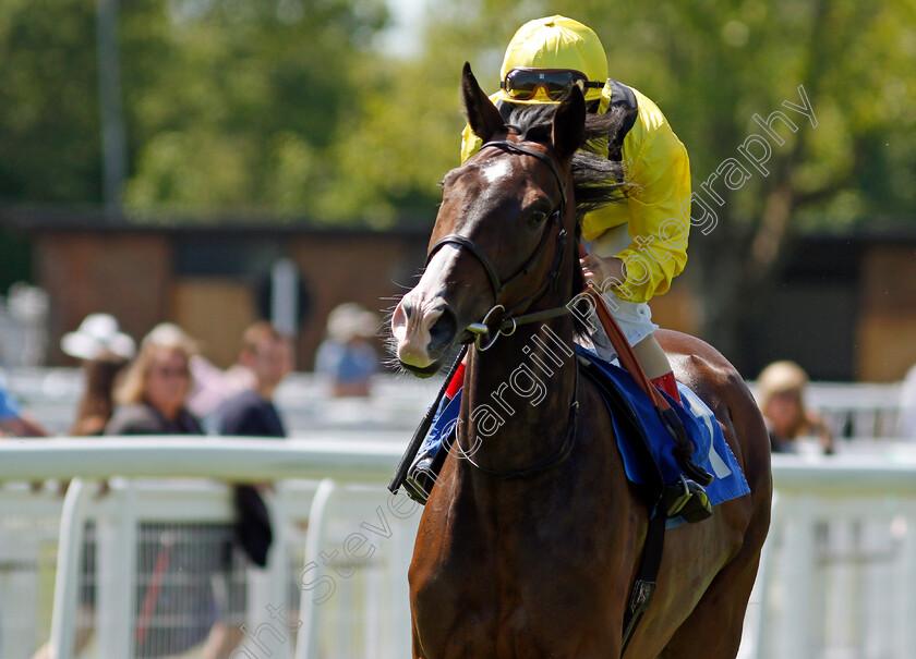 Morrooj-0003 
 MORROOJ (Andrea Atzeni)
Salisbury 8 Jun 2021 - Pic Steven Cargill / Racingfotos.com