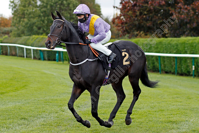 Moss-Gill-0001 
 MOSS GILL (P J McDonald)
Nottingham 14 Oct 2020 - Pic Steven Cargill / Racingfotos.com