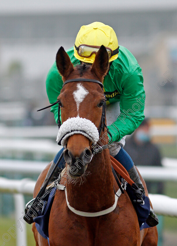 Dream-Round-0002 
 DREAM ROUND (William Buick)
Doncaster 7 Nov 2020 - Pic Steven Cargill / Racingfotos.com