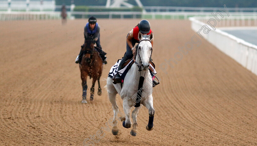 Batwan-0001 
 BATWAN training at the Dubai Racing Carnival 
Meydan 4 Jan 2024 - Pic Steven Cargill / Racingfotos.com