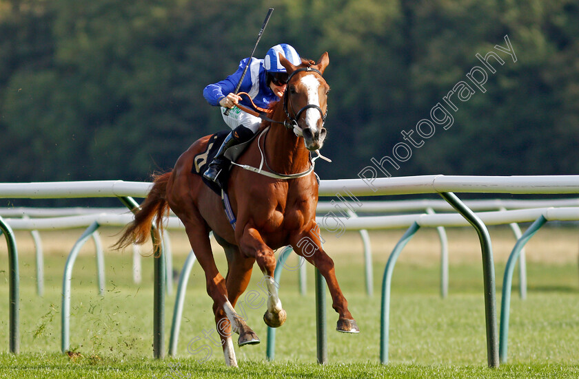 Qitaal-0003 
 QITAAL (Jason Hart) wins the British Stallion Studs EBF Maiden Stakes Div1
Nottingham 13 Oct 2021 - Pic Steven Cargill / Racingfotos.com