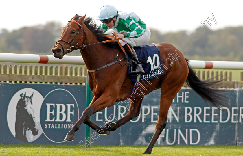 Woodhay-Wonder-0003 
 WOODHAY WONDER (P J McDonald) wins The £150,000 Tattersalls October Auction Stakes
Newmarket 7 Oct 2023 - Pic Steven Cargill / Racingfotos.com