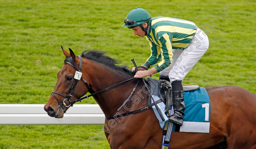 Chesspiece-0007 
 CHESSPIECE (Ryan Moore) winner of The Collective Green Energy Handicap
York 18 May 2023 - Pic Steven Cargill / Racingfotos.com