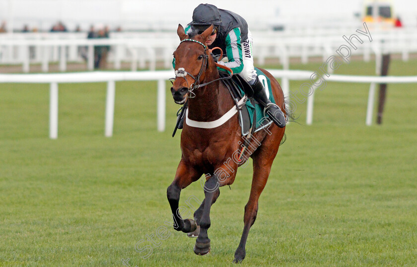 Pym-0005 
 PYM (Nico de Boinville) wins The International Decorative Surfaces Novices Chase
Cheltenham 13 Dec 2019 - Pic Steven Cargill / Racingfotos.com