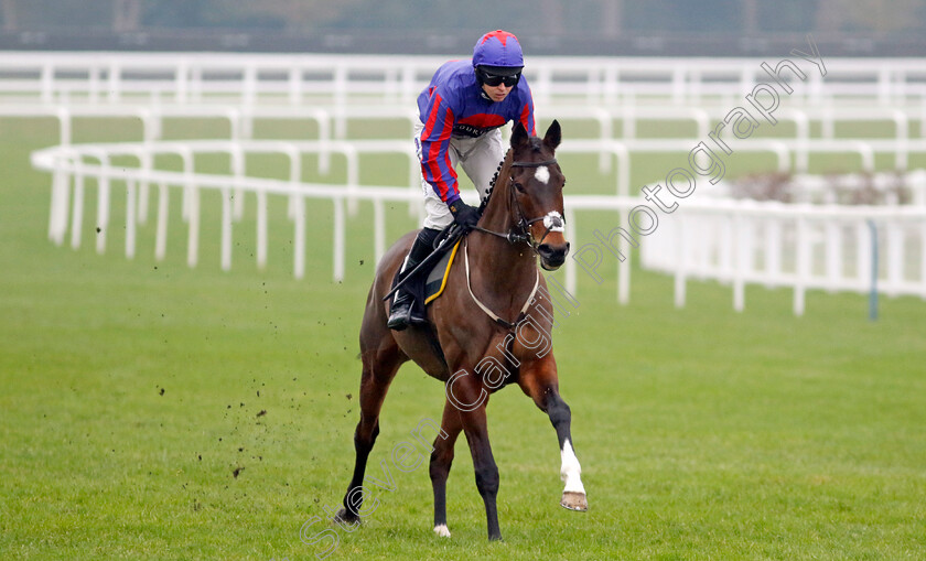 Ocean-Conquest-0001 
 OCEAN CONQUEST (Kielan Woods)
Ascot 18 Jan 2025 - Pic Steven Cargill / Racingfotos.com