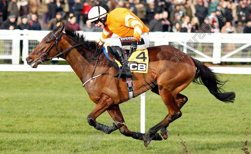 Fakir-D Oudairies-0008 
 FAKIR D'OUDAIRIES (J J Slevin) wins The JCB Triumph Trial Juvenile Hurdle
Cheltenham 26 Jan 2019 - Pic Steven Cargill / Racingfotos.com