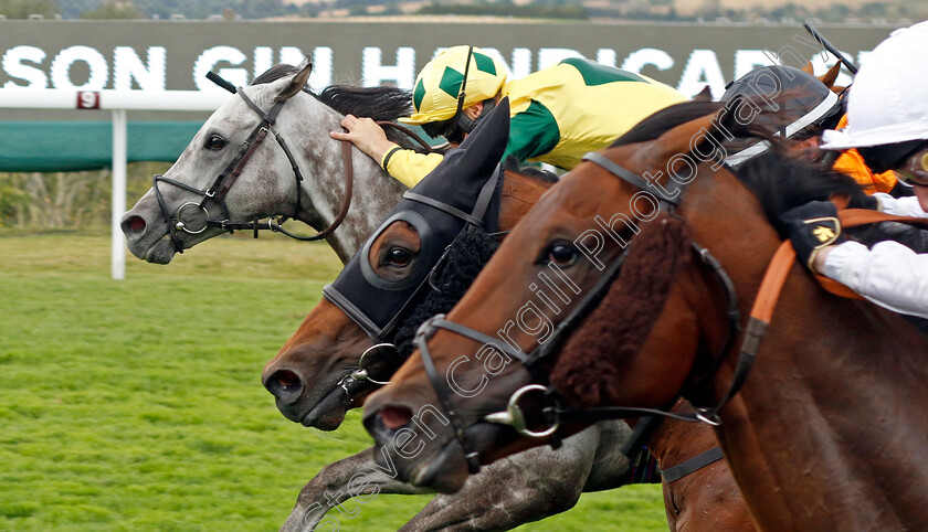 Lord-Riddiford-0006 
 LORD RIDDIFORD (farside, Jason Hart) wins The Nicholson Gin Handicap
Goodwood 26 Jul 2022 - Pic Steven Cargill / Racingfotos.com