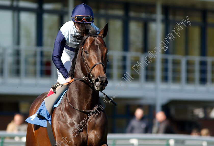 Bowerman-0002 
 BOWERMAN (Andrea Atzeni)
Nottingham 10 Apr 2019 - Pic Steven Cargill / Racingfotos.com