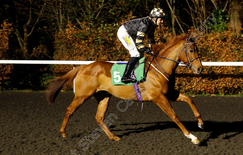 Kamekist-0001 
 KAMEKIST (Charles Bishop)
Kempton 4 Dec 2024 - Pic Steven Cargill / Racingfotos.com